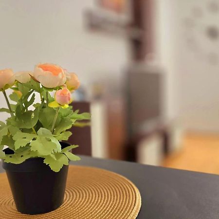 Apartament Confort Hd Χουνεντοάρα Εξωτερικό φωτογραφία